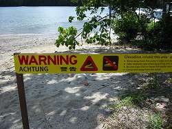 ディンツリー川のクロコダイル注意の標識